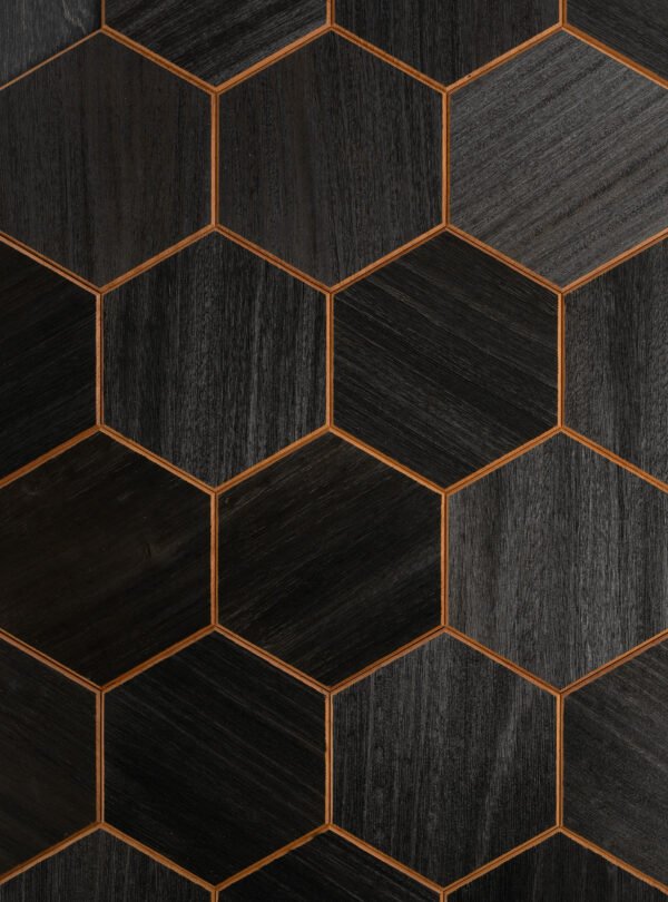 54177433921508_-0117df3b9c 54177433921508_-0117df3b9c